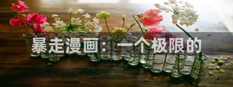 哔咔漫画破解：暴走漫画：一个极限的