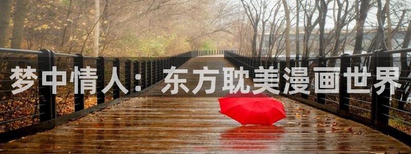 哔咔漫画怎么注册：梦中情人：东方耽美漫画世界