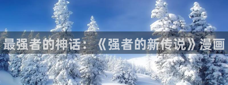 哔咔漫画正版：最强者的神话：《强者的新传说》漫画