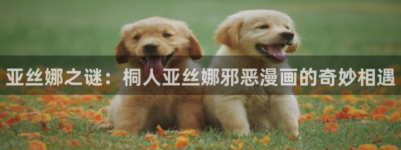 哔咔漫画1.0：亚丝娜之谜：桐人亚丝娜邪恶漫画的奇妙相遇