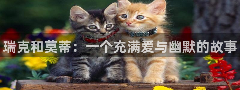 哔咔哔咔漫画官网入口网址：瑞克和莫蒂：一个充满爱与幽默的故事